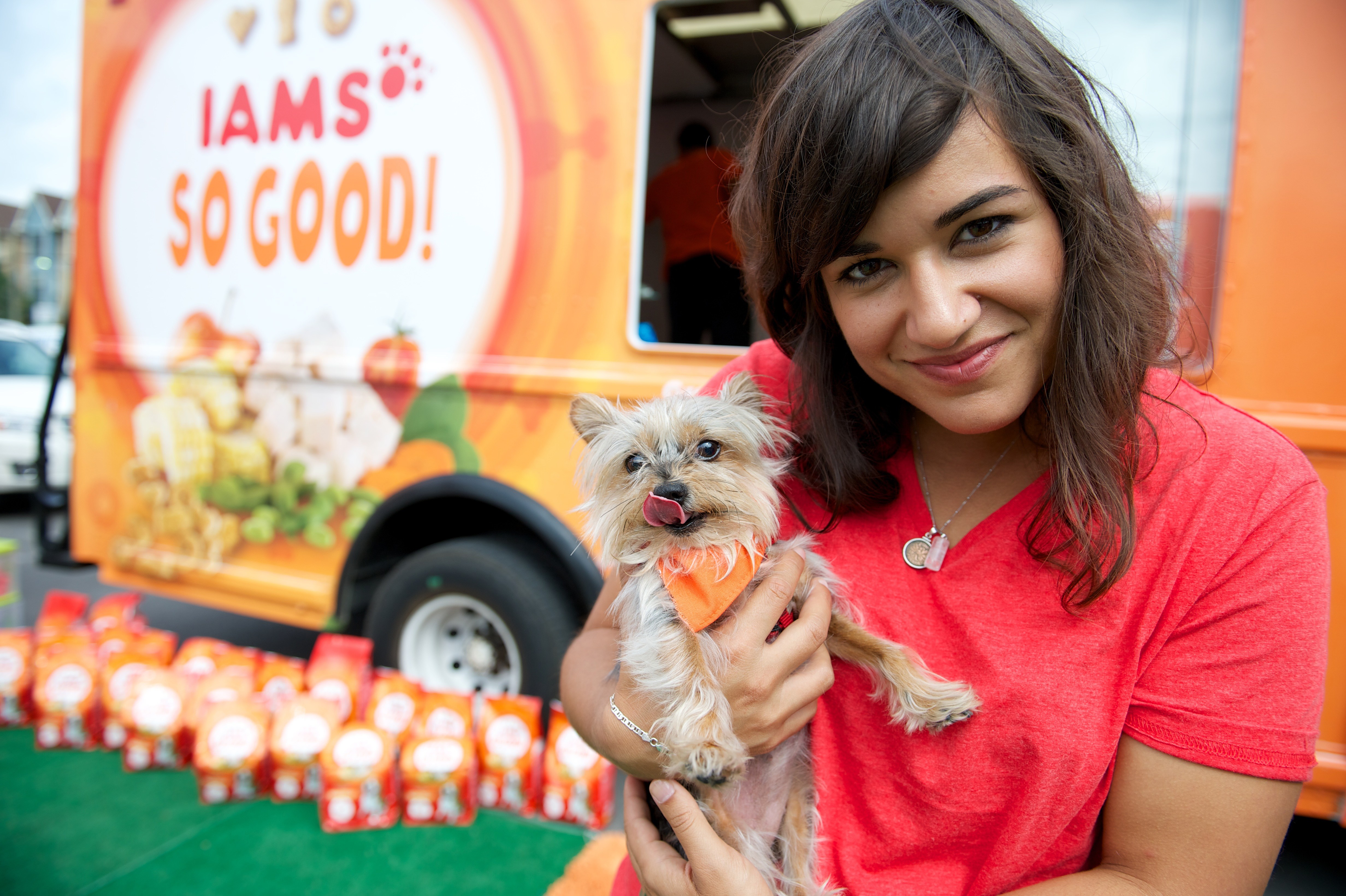 ADDING MULTIMEDIA Attention All Dogs Iams SO GOOD Doggie Cafe is